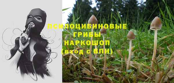 круглые Бородино