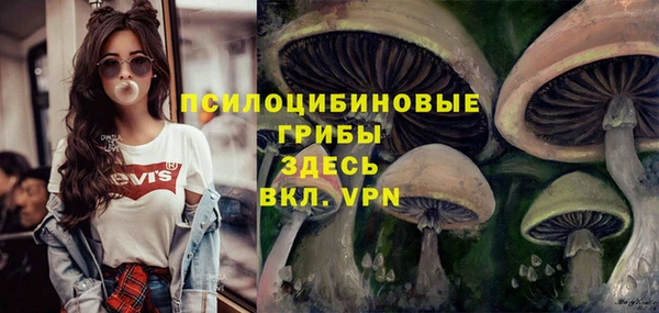ешки Беломорск